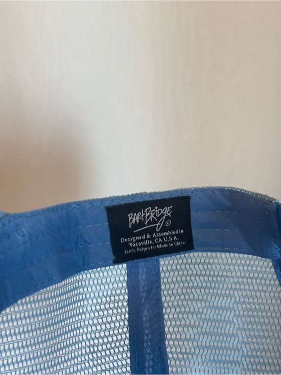 Santa Cruz Mushroom Blue Mesh Trucker Hat Barkridge Co main image 6